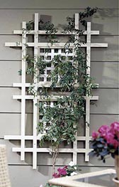 One Terrific Trellis Woodworking Plan