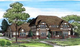 Tudor Home Design