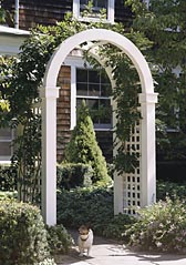 Arch-Topped Arbor