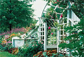 Rose Arbor