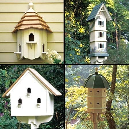 For the Birds - Project Plan 502047