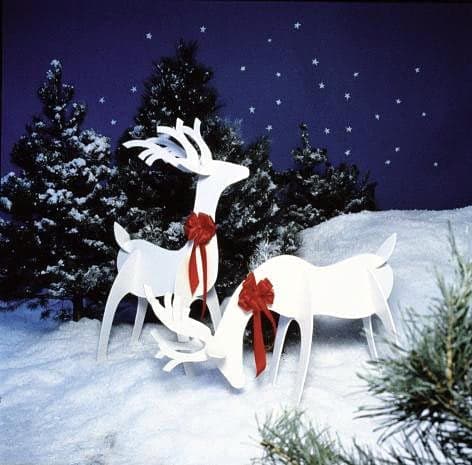 Graceful Reindeer - Project Plan 504882