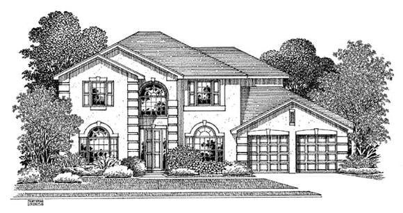 Elevation