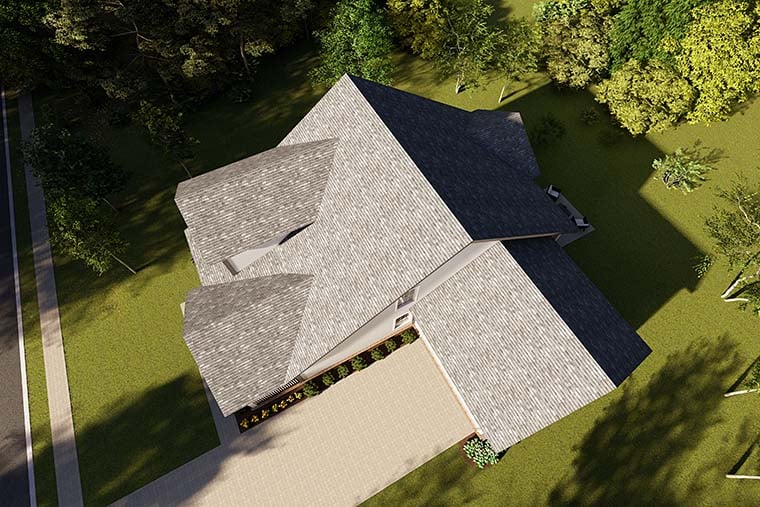 Gallery Picture 5
