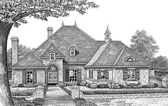 Elevation