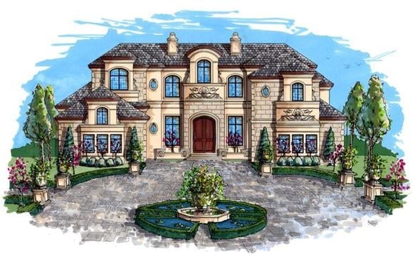Elevation