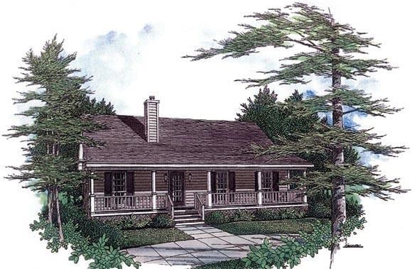 Elevation