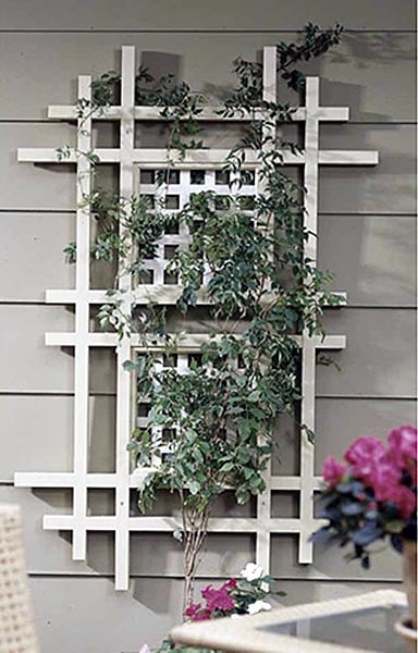 One Terrific Trellis Woodworking Plan