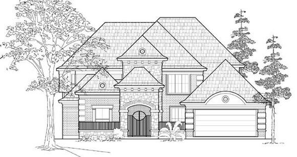Elevation