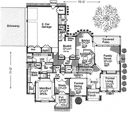 First Level Plan