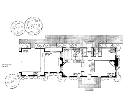 First Level Plan