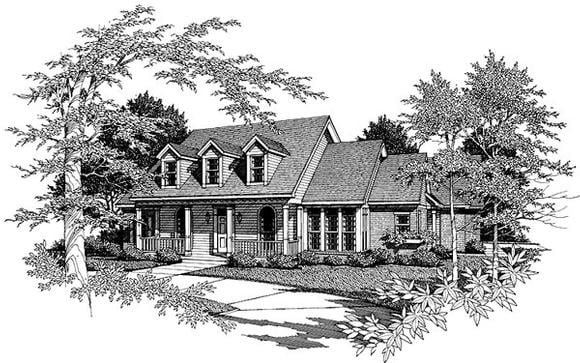 Elevation