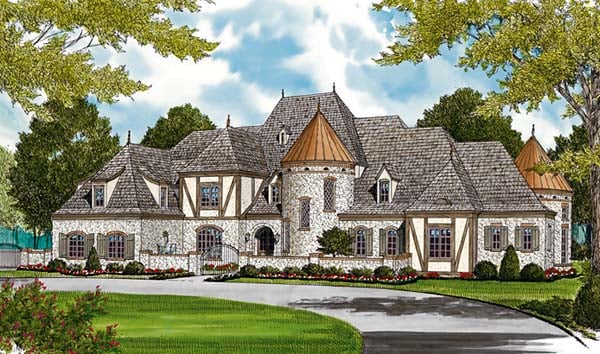 Country, European Plan with 8933 Sq. Ft., 7 Bedrooms, 8 Bathrooms, 3 Car Garage Elevation