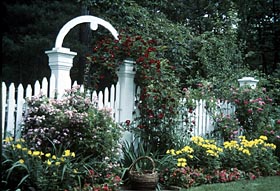 Crowning Glory Arbor - Project Plan 503504